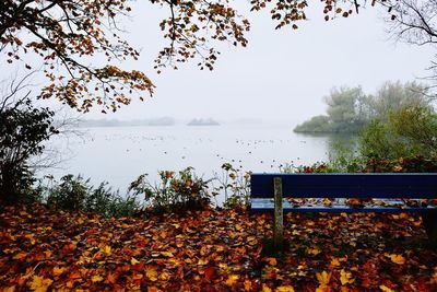 Scenic view of lake against sky during autumn