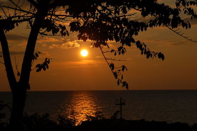 Silhouette tree by sea against sky during sunset