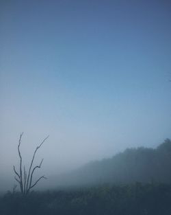 Silhouette trees on field against clear blue sky