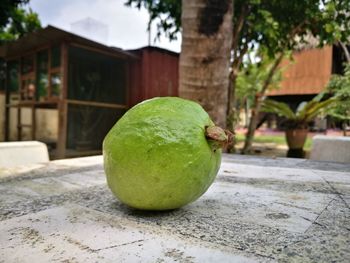 Close-up of green fruit on table