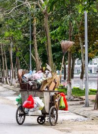 Bicycle by palm trees in city