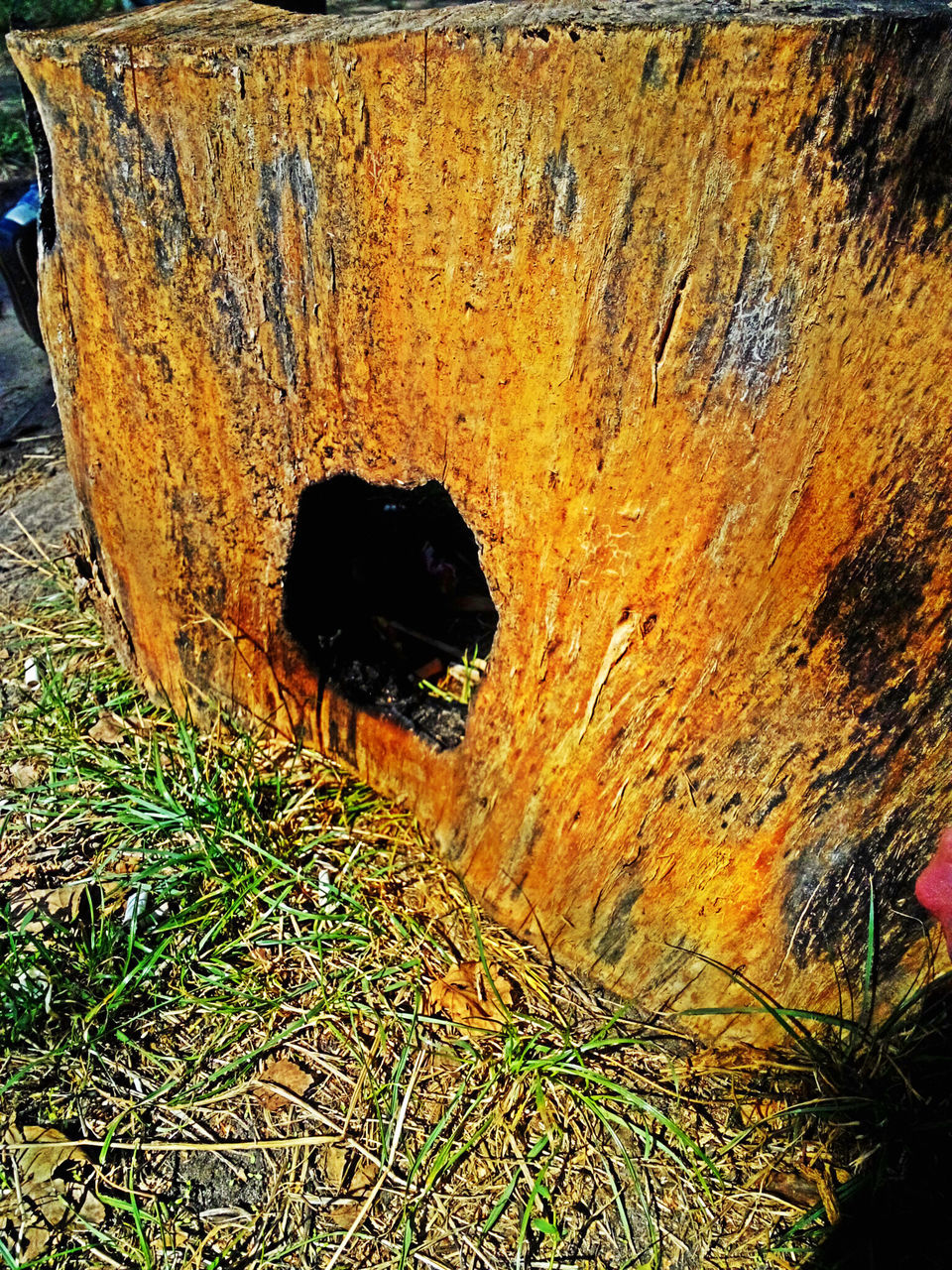 abandoned, weathered, damaged, deterioration, obsolete, old, built structure, run-down, architecture, bad condition, grass, building exterior, house, wall - building feature, day, no people, destruction, outdoors, textured, close-up