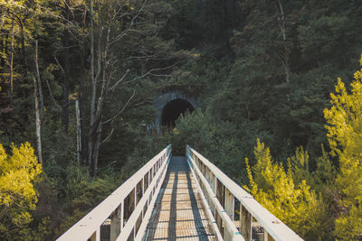 View of footbridge over river