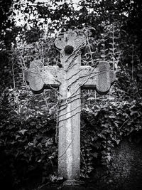 View of cross in cemetery