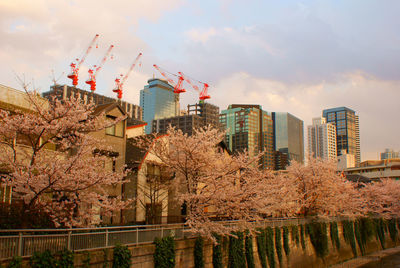 Low angle view of buildings in city