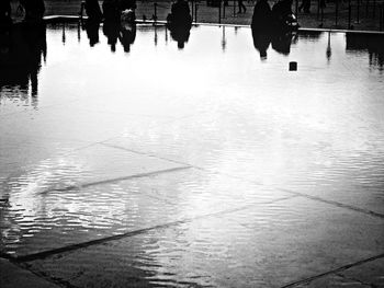 Reflection of trees in water