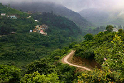 High angle view of mountain road amidst trees