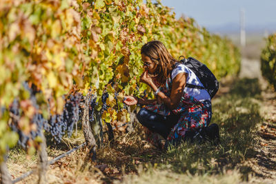 Woman eating grapes at vineyard