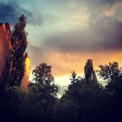 Low angle view of trees against cloudy sky