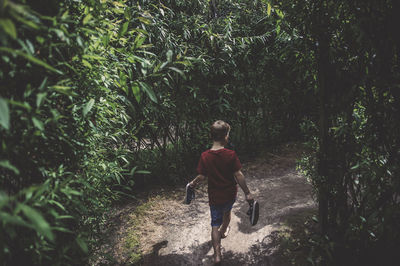 Rear view of boy walking amidst trees in forest