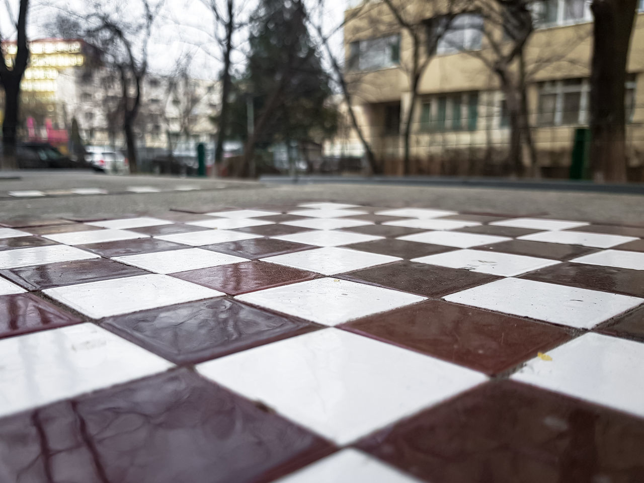 SURFACE LEVEL OF TILED FLOOR WITH TREES IN BACKGROUND