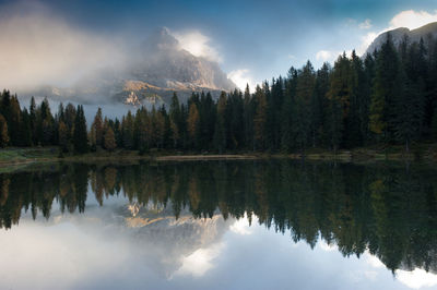 Scenic view of lake by trees against sky