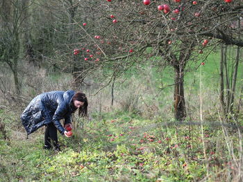 Side view of woman picking apples