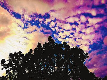 Silhouette of trees against cloudy sky