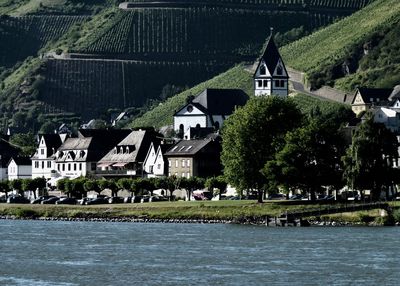 Trees and houses by river against buildings