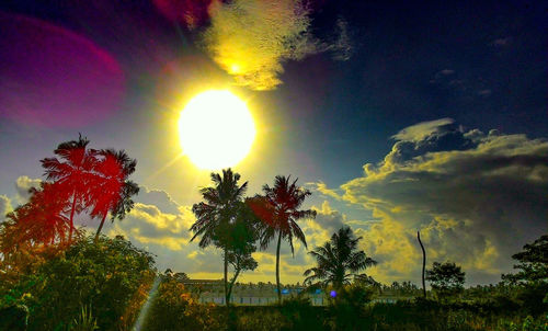 Scenic view of palm trees against sky