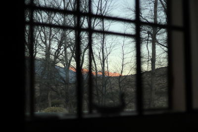 Silhouette trees against sky seen through window