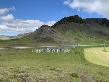 Scenic view of field against sky