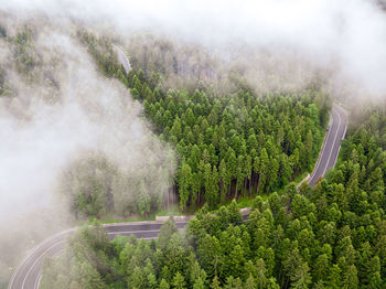 High angle view of road amidst trees