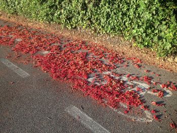 High angle view of red leaves falling on footpath in city