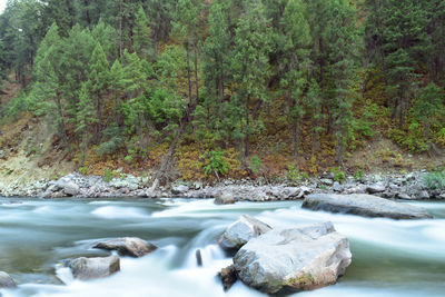 River flowing through rocks in forest