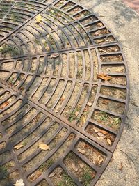 Full frame shot of tiled floor
