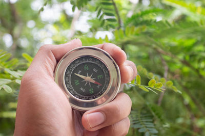 Cropped hand holding navigational compass against plants