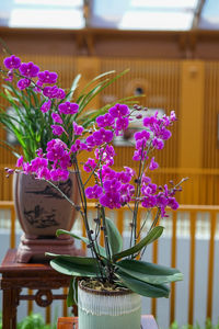 Flower vase on a table