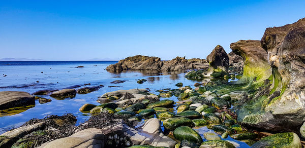 Scenic view of sea against clear blue sky