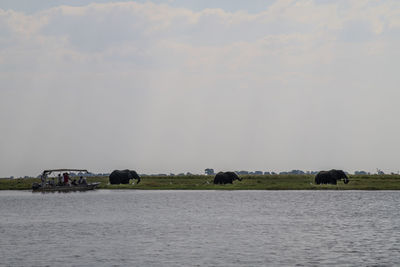 Scenic view of river against sky