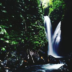 Low angle view of waterfall against trees