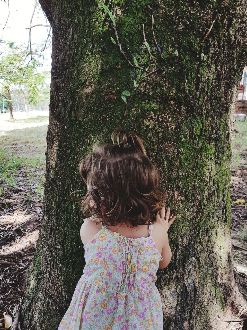 GIRL STANDING ON TREE