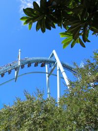 Low angle view of trees against blue sky
