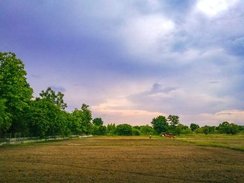 Scenic view of field against cloudy sky