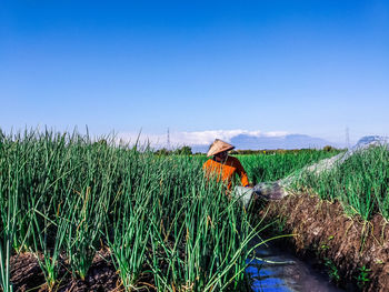 Farmer standing amidst crops on field against clear sky