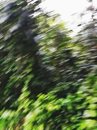 Full frame shot of blurred background