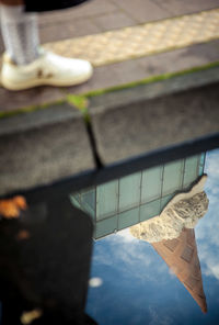 High angle view of statue against blurred background