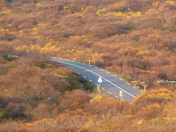 High angle view of road amidst trees during autumn