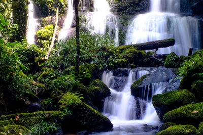 View of waterfall in forest