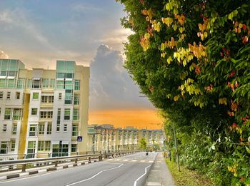 Road amidst trees against sky during sunset