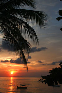 Silhouette palm tree by sea against sky during sunset