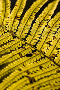 Full frame shot of paper