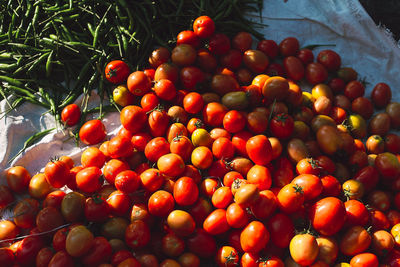 Low angle view of tomatoes in market