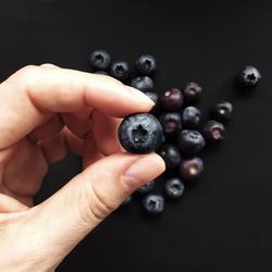 Close-up of hand holding blueberry