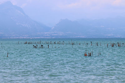 Panorama nature sirmione garda lake italy italy