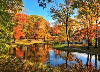 Trees by lake in park during autumn