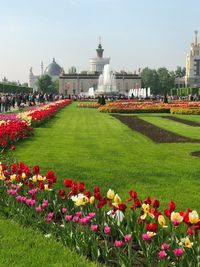 View of fountain in garden