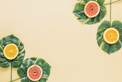 Directly above shot of fruits on pink background