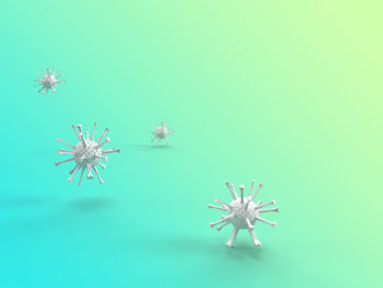 Close-up of spider on web against blue background