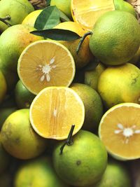 Close-up of oranges